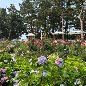 용화찬미 리뷰 사진