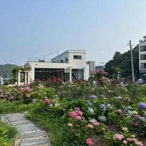 용화찬미 리뷰 사진