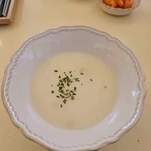 몽키브라운 사진
