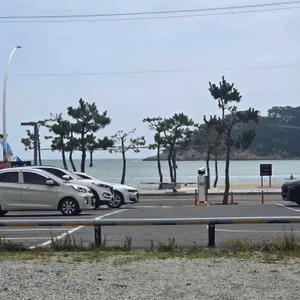 정안정 리뷰 사진