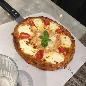 트라고 사진