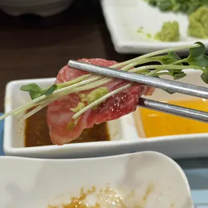 돌참치 사진