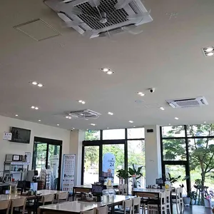 대손관 리뷰 사진