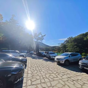 카페 수목 리뷰 사진