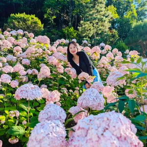 카페 수목 리뷰 사진