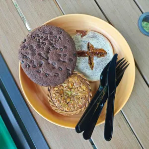 카페 수목 사진