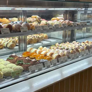 노티드 사진