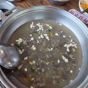 꽃우물오리 사진