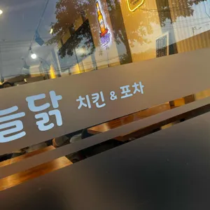 오늘닭 사진 2
