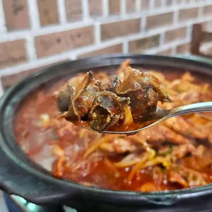 돌담 사진