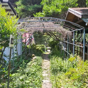 돌담 리뷰 사진