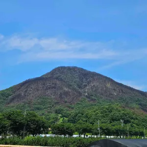 돌담 리뷰 사진