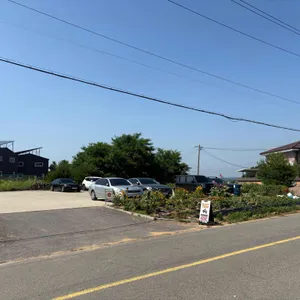 슬로피타운 리뷰 사진