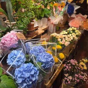 로즈스텔라정원 사진