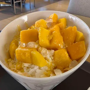 할리스 사진