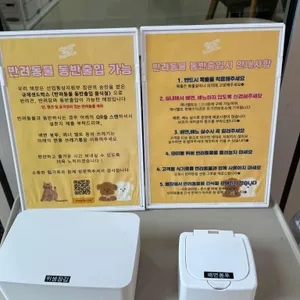 시엠프레꼬모도밍고 리뷰 사진