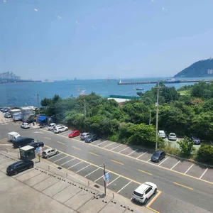 피아크 리뷰 사진