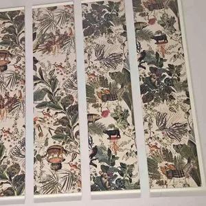 젤라떼리아 도도 사진 2