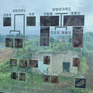 제주카페스르륵 리뷰 사진