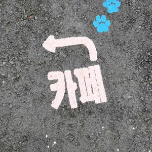 제주카페스르륵 리뷰 사진