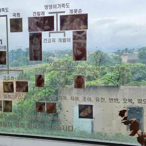 제주카페스르륵 리뷰 사진