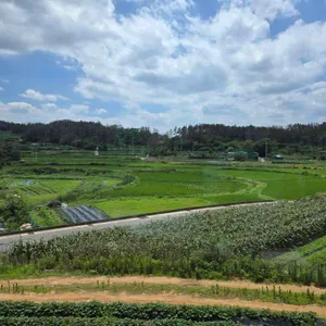 랑도네 리뷰 사진
