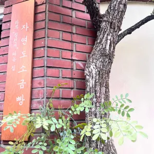 자연도 소금빵 in 리뷰 사진