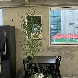 워크샵구모 사진
