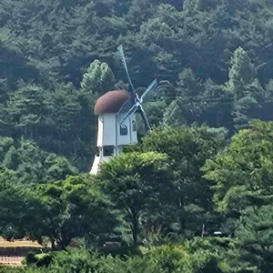 풍차카페수제버거 리뷰 사진