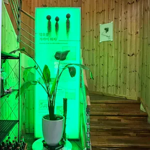 풍차카페수제버거 리뷰 사진