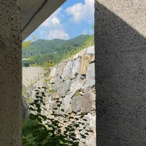 콘크리트월 사진 1