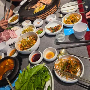 부산갈매기 사진