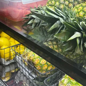 터틀빈 리뷰 사진