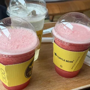 터틀빈 사진