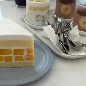 파인리 사진