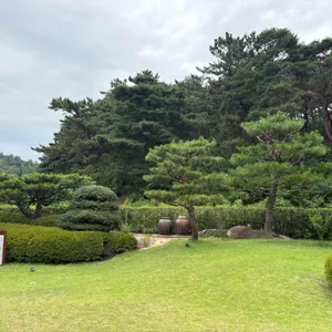 묘운 리뷰 사진