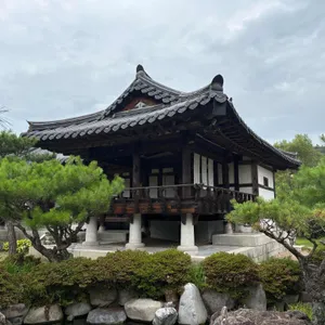 묘운 리뷰 사진
