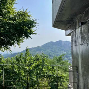 희작 리뷰 사진