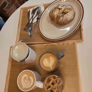 파운드 그레도 사진