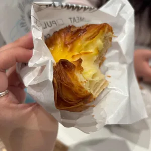 꼬알라파이 사진