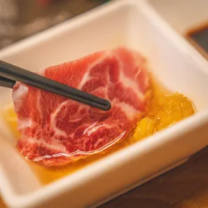 본참치 사진