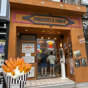 브뤼셀프라이 사진