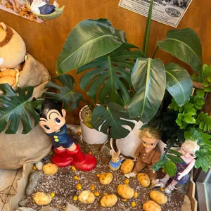 브뤼셀프라이 대표 사진