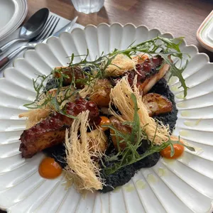 이에프쿠치나 사진