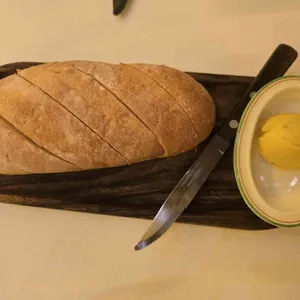 놉스 사진