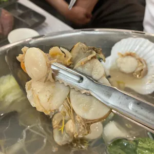 살아있네 사진