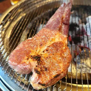 양도둑 사진