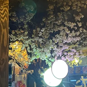 게다 리뷰 사진