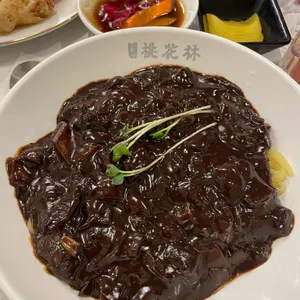 도화림 사진