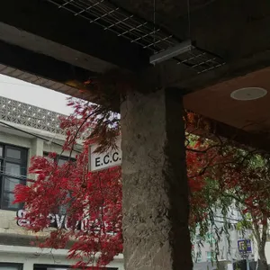 이씨씨커피 리뷰 사진